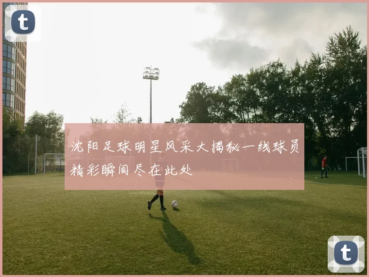 沈阳足球明星风采大揭秘一线球员精彩瞬间尽在此处