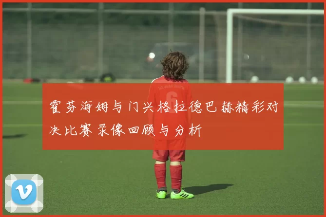 霍芬海姆与门兴格拉德巴赫精彩对决比赛录像回顾与分析