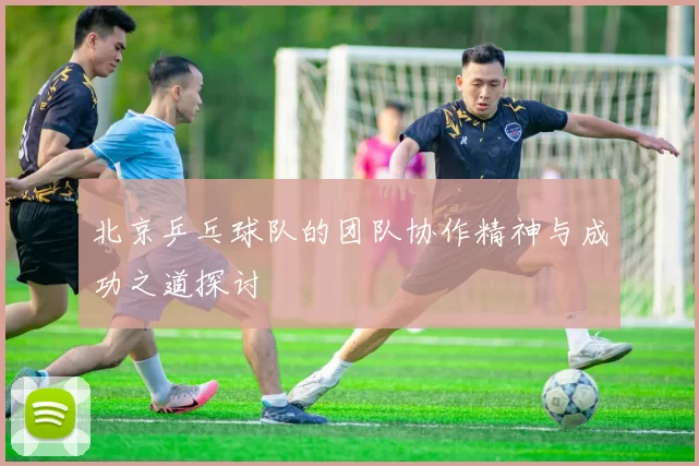 北京乒乓球队的团队协作精神与成功之道探讨