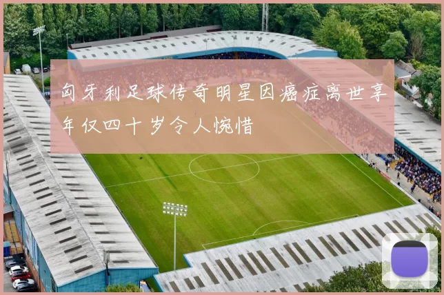 匈牙利足球传奇明星因癌症离世享年仅四十岁令人惋惜