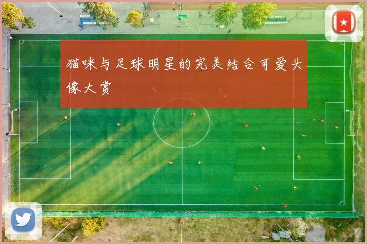 猫咪与足球明星的完美结合可爱头像大赏
